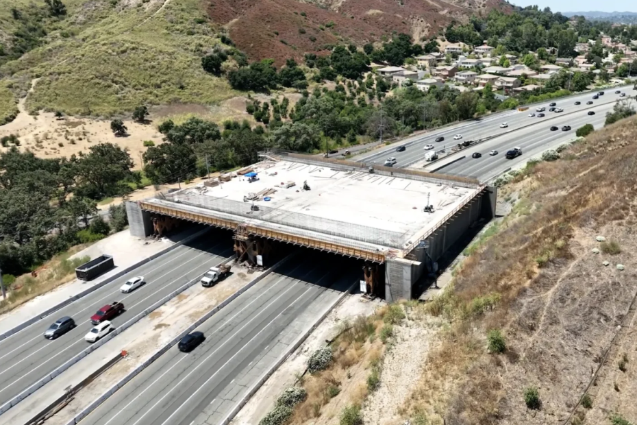 Wildlife Bridge