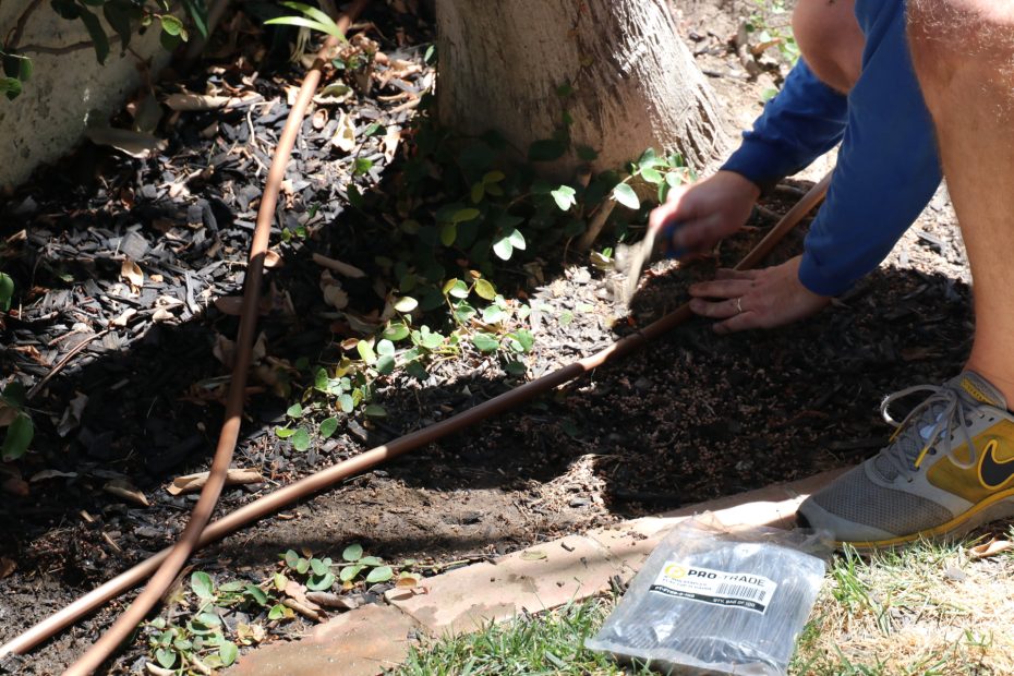 stake application on drip line