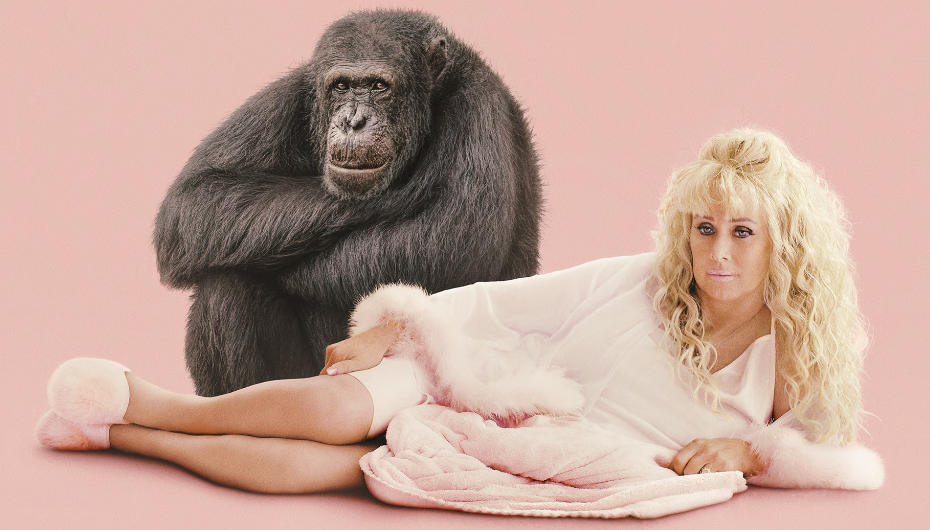 Chimp Crazy