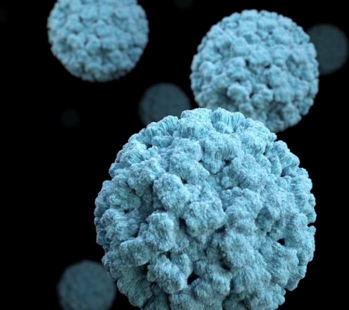 Norovirus