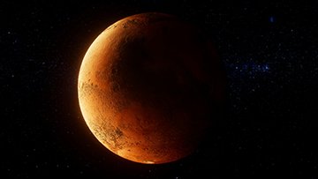 Nighttrek Report