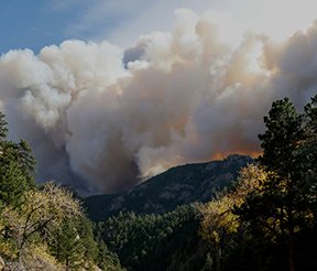 Wildfire