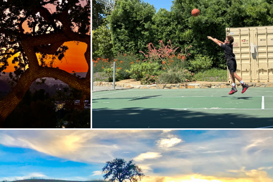 Calabasas Photo Contest Winners Named