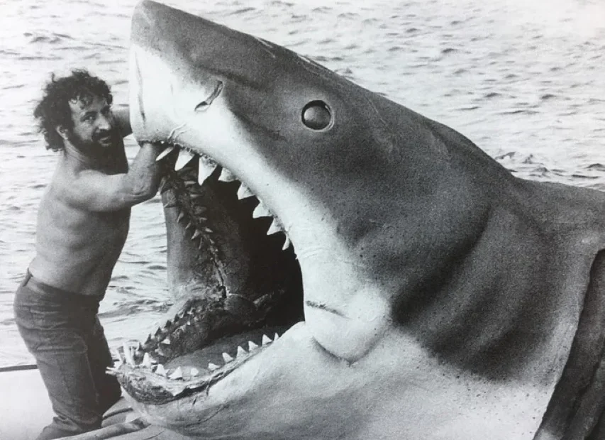 Shark