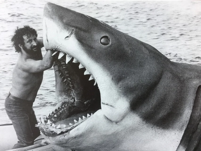 Shark