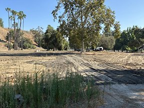 Bring Out Your Dead! Boething Property Prepares for Cemetery
